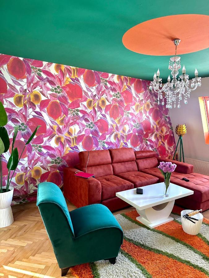 Apartment Amore Mio Golubac Eksteriør bilde