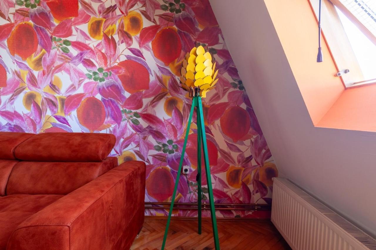 Apartment Amore Mio Golubac Eksteriør bilde