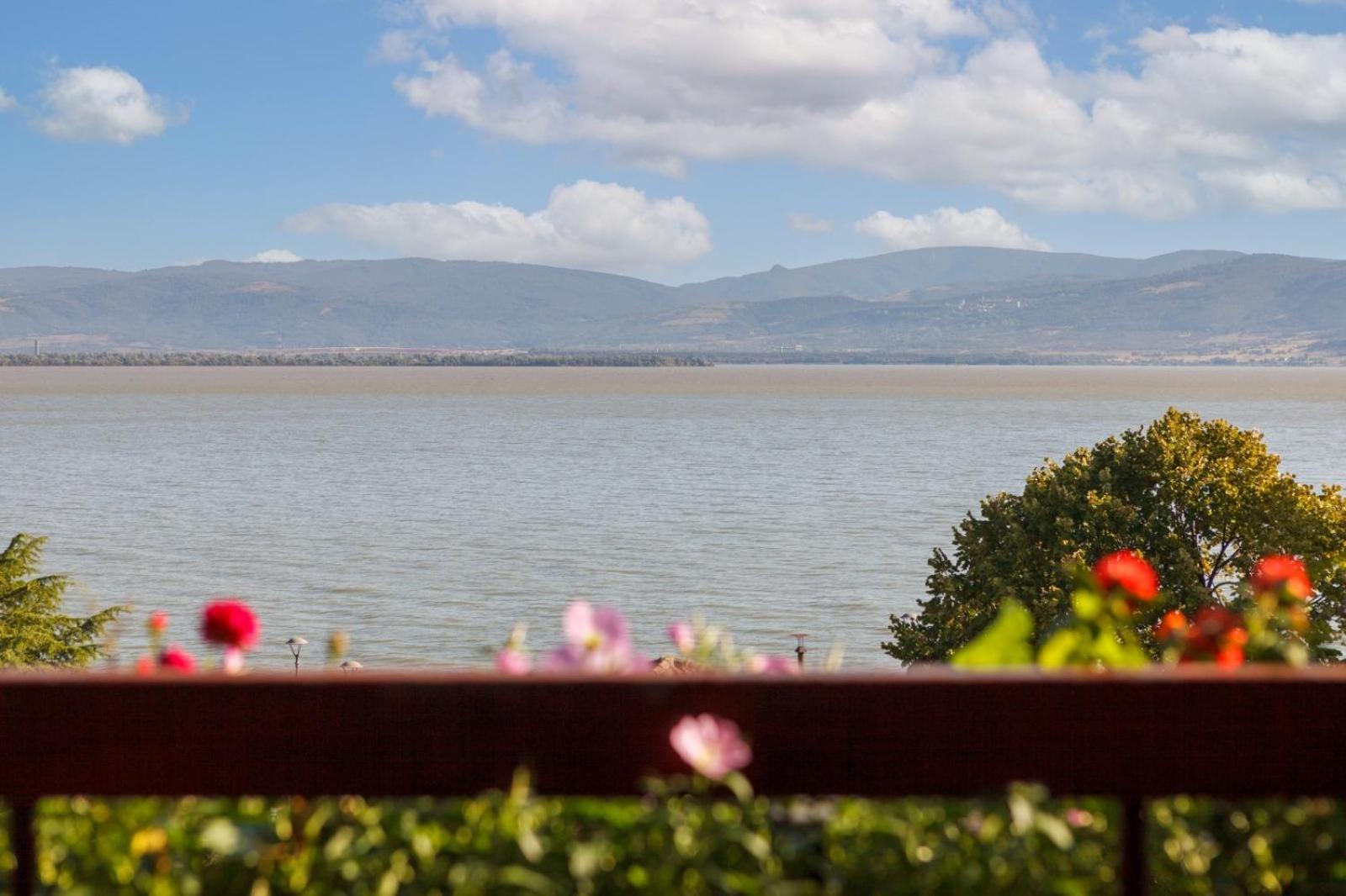 Apartment Amore Mio Golubac Eksteriør bilde